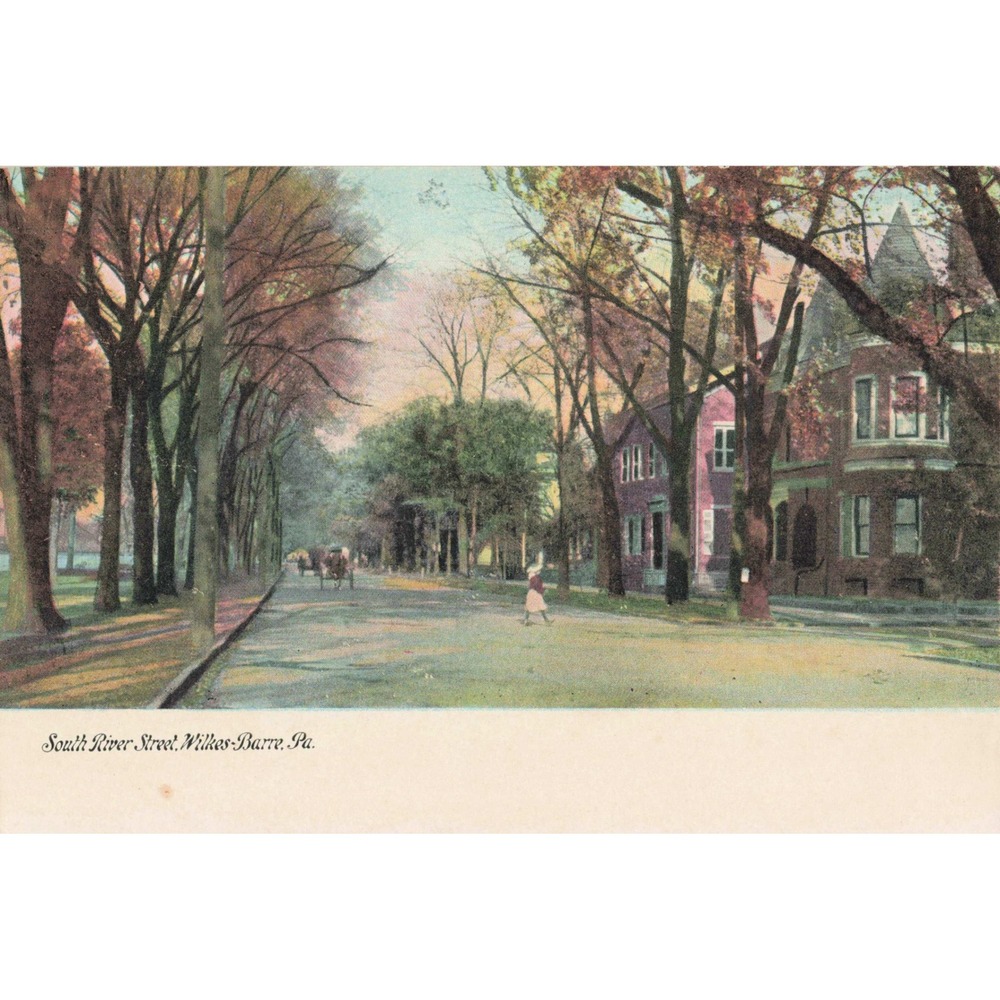 Wilkes-Barre Pennsylvania PA Undivided Back Postcard South River Street Houses